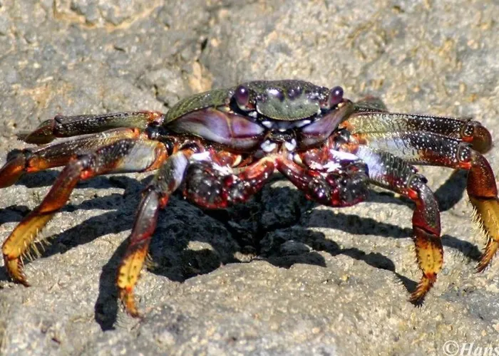 Luxusapartment By Interhome דירה *